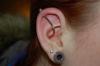 custome bend conch to helix